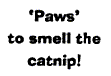 Paws to Smell - Click Image to Close
