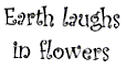 Earth Laughs