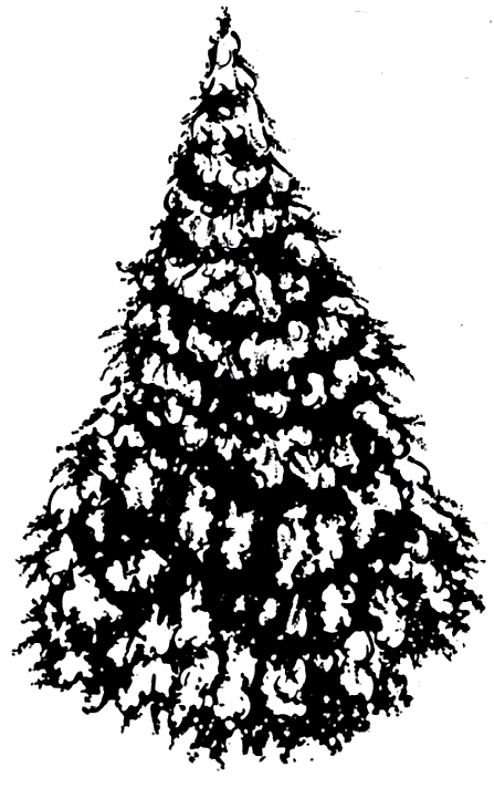 Snowy Tree - Click Image to Close